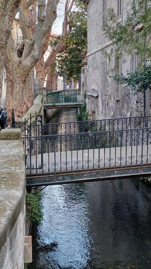 Maison De Charme Avec Cour, Proche Rue Des Teinturiers Avinyon Dış mekan fotoğraf